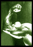 shoulder flexing