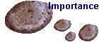 Importance