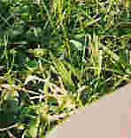 My Legs and Feet