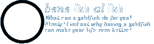 Bene-fish-al - The benefits of having goldfish