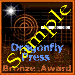 Bronze Award