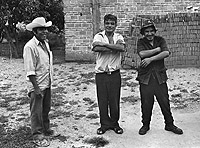 Tres Amigos