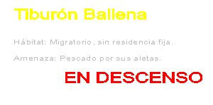 Extinci�n