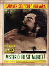 che morto 3.jpg (16910 bytes)