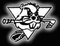 Beavers Roma