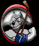 Hockey San Vito