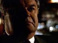 Actor:  Don S. Williams