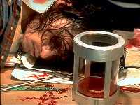 Actor:  Jeff Kober