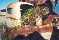 Select Image to Enlarge