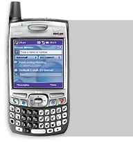 Treo Windows