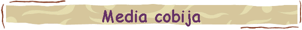 Media cobija