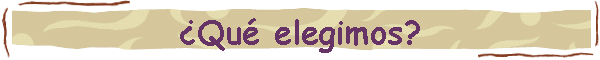 �Qu� elegimos?