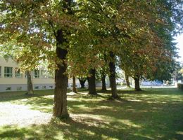 park