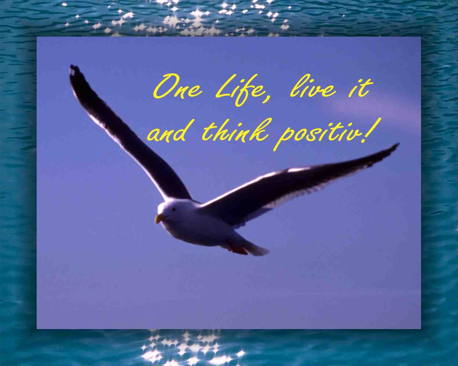 One Life, live it and think positiv!