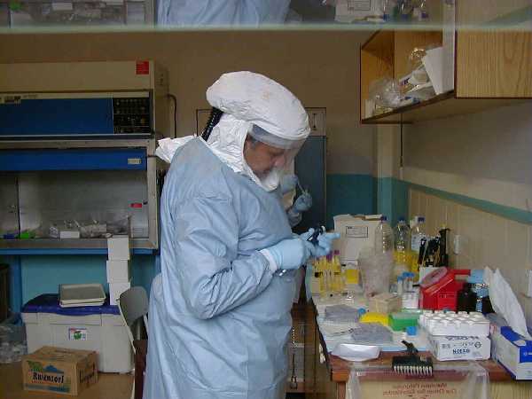 PRUEBAS DE LABORATORIO