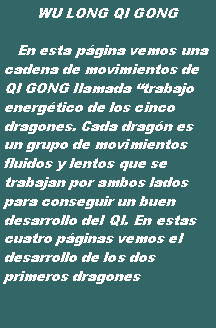 Cuadro de texto: WU LONG QI GONG   En esta p�gina vemos una cadena de movimientos de QI GONG llamada �trabajo energ�tico de los cinco dragones. Cada drag�n es un grupo de movimientos fluidos y lentos que se trabajan por ambos lados para conseguir un buen desarrollo del QI. En estas cuatro p�ginas vemos el desarrollo de los dos primeros dragones