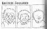 sh_einstein_simplified.jpg