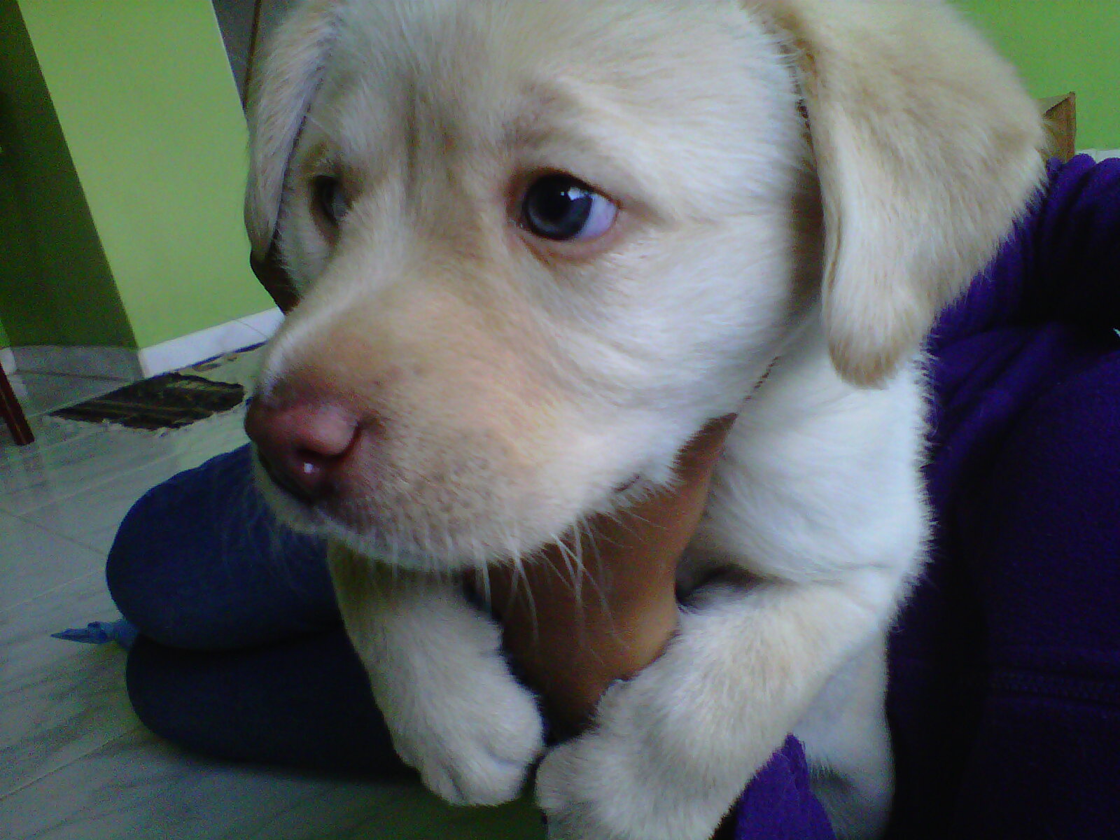 SASHA DE PEQUE�A