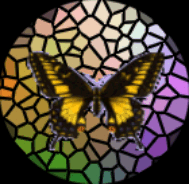 Changeling