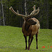 Grand Teton National Park and Yellowstone National Park