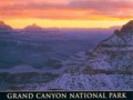 Yellowstone, Las Vegas, and Grand Canyon