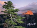 Yosemite