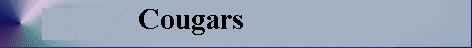 [Banner Image]