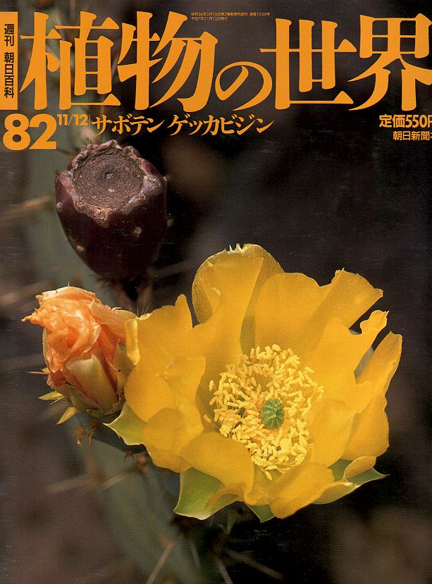 book_mag01.JPG