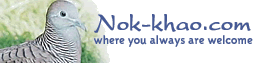 ���Ҵͷ���