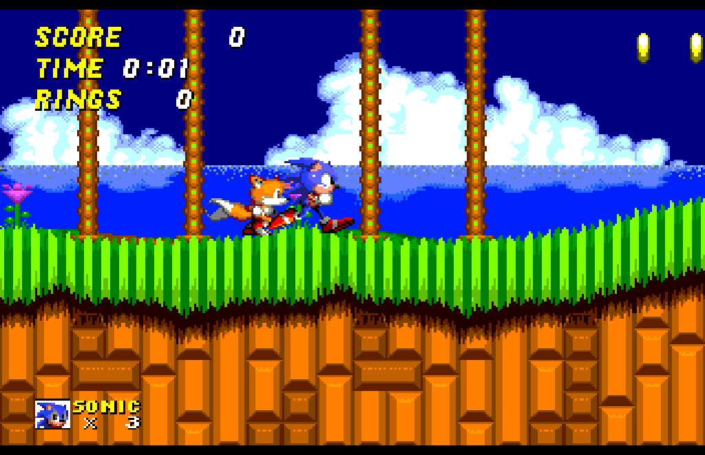 The start of the Emerald Hill Zone