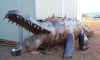gator1.JPG (31897 bytes)