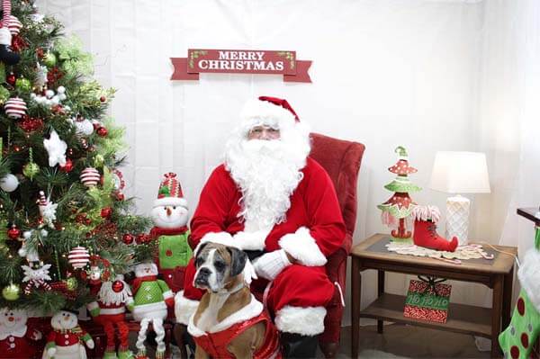 Santa day 8