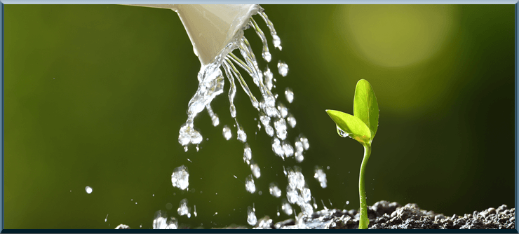 Water