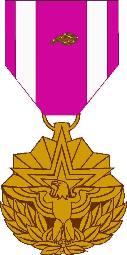 Meritorious Service Medal