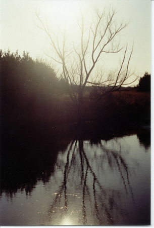 Pond at sunrise