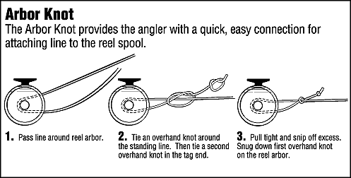 arbor knot