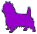 You are here