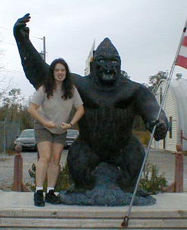 Gorilla