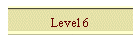 Level 6