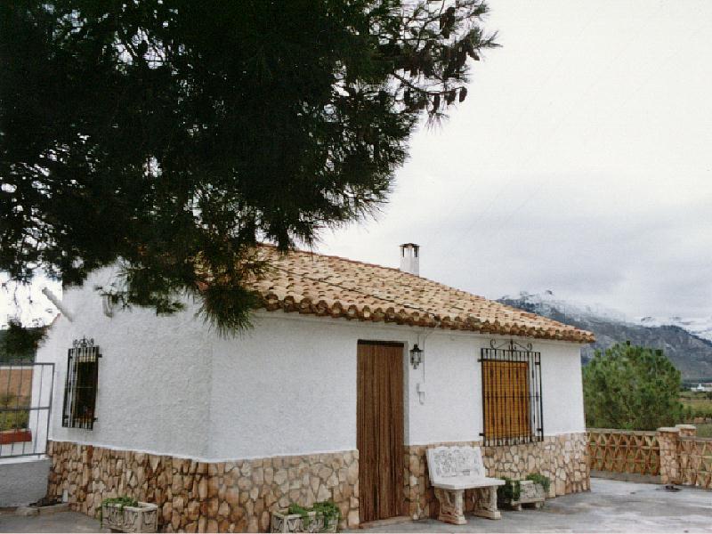 Huerta Pinada II