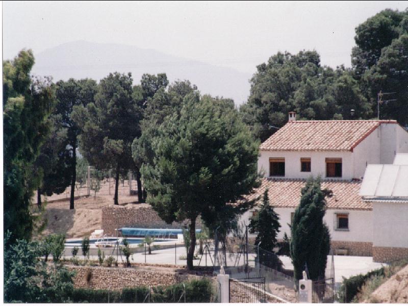 Huerta Pinada I