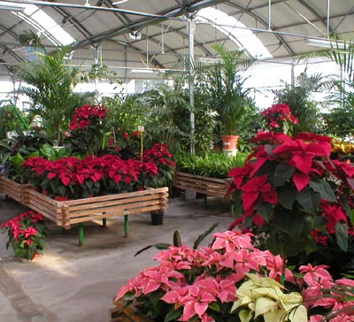 Garden Center "Huerto San Valero". - B I E N V E N I D O S