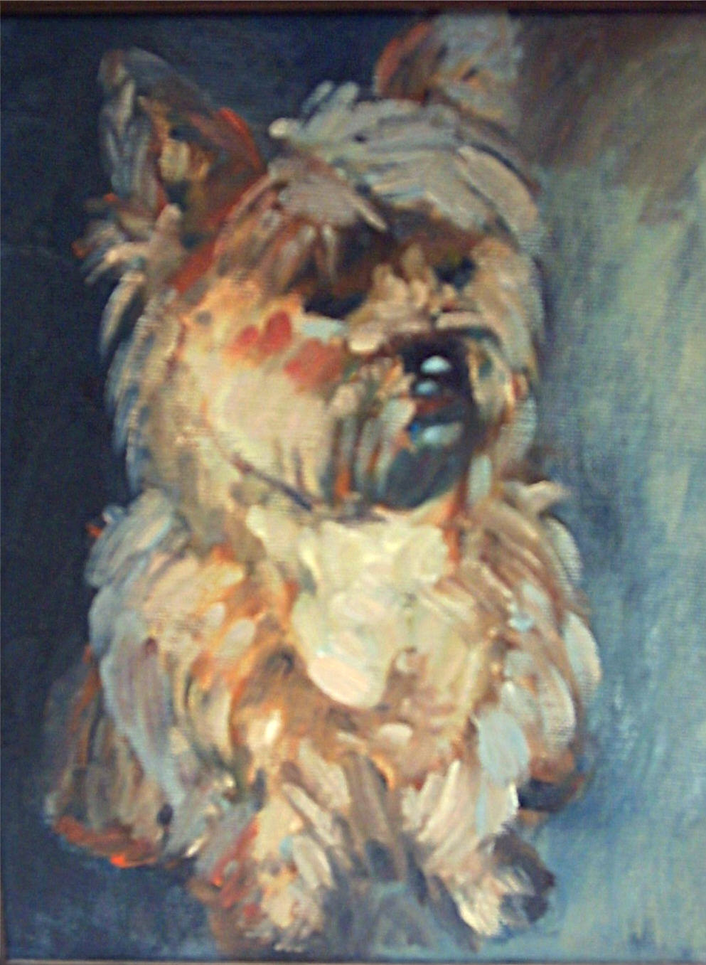 Anamis 30 x 40