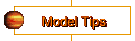 Model Tips