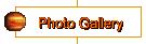 Photo Gallery