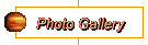 Photo Gallery