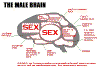 Male.jpg (11424 bytes)
