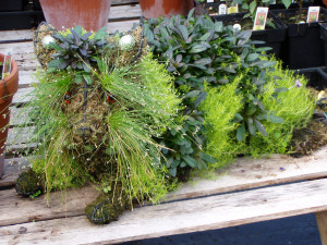 Cat Topiary