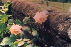 Catherine Mermet Along the Wall