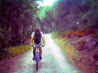 HS rolando...Monsanto n�o � s� downhill/uphill